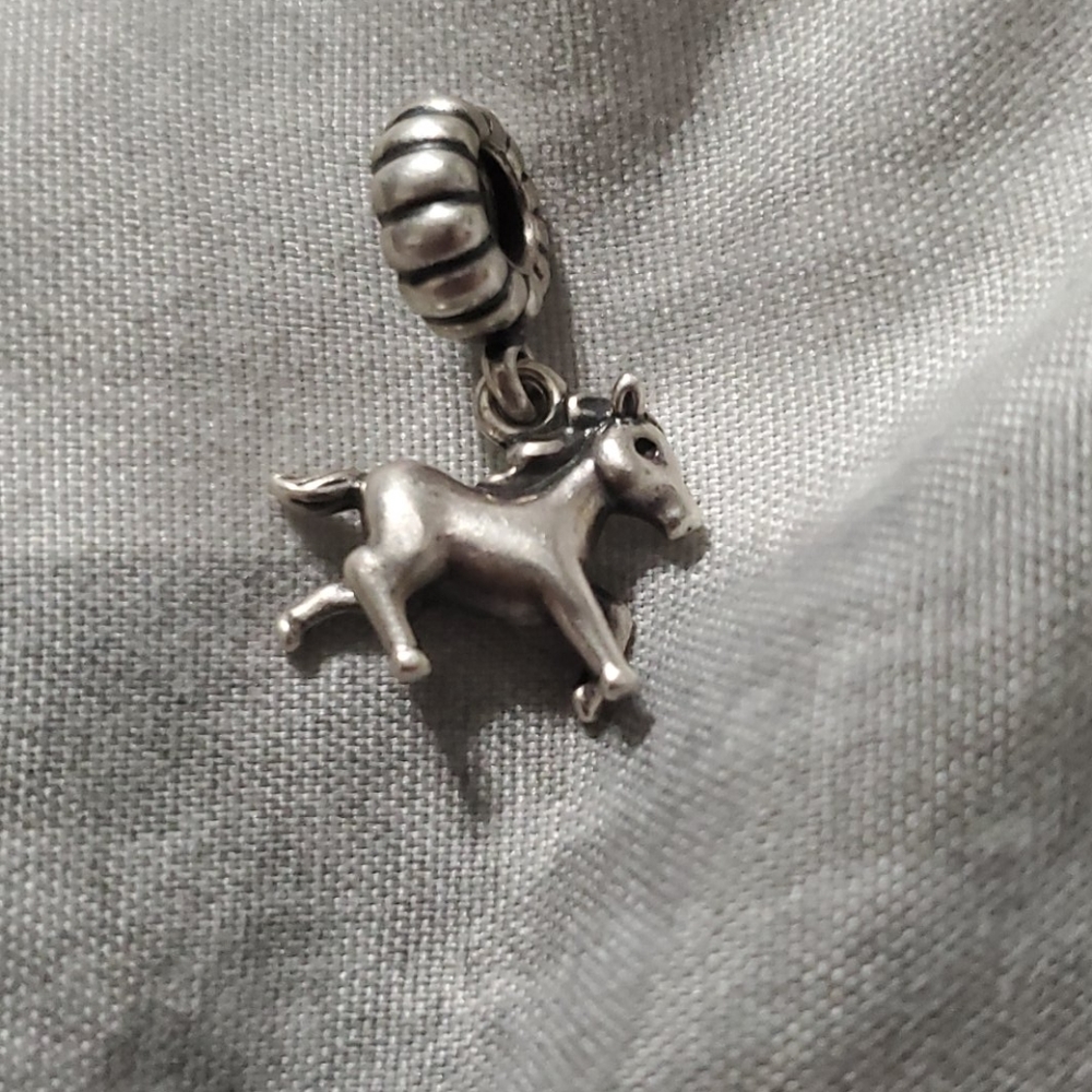 Pandora Charm